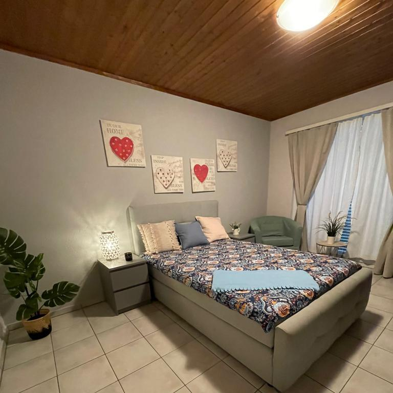 Zimmer / Rooms / Habitaciones in Ebikon