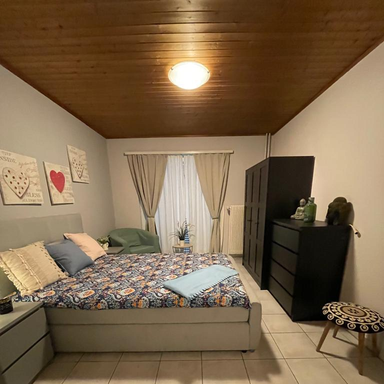 Zimmer / Rooms / Habitaciones in Ebikon