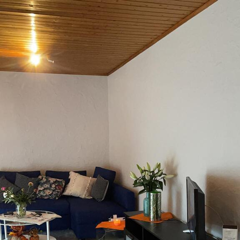 Zimmer / Rooms / Habitaciones in Ebikon