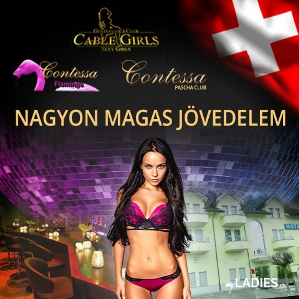 Sehr Hoher Verdienst / Bild 8