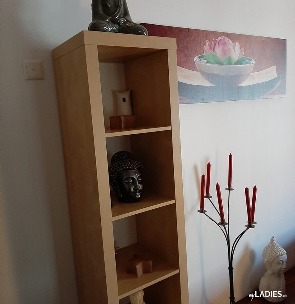 Privates Studio im Kanton Bern sucht Dich / Bild 4