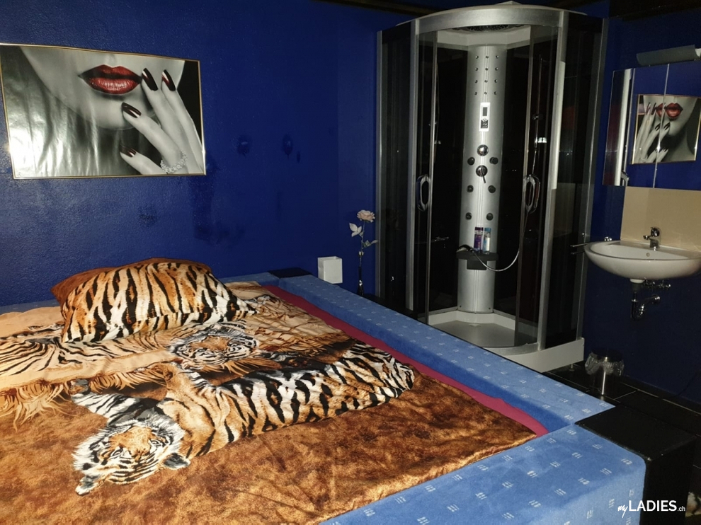 VILLA AMORE, das TOP-HAUS unter Schweizer Leitung sucht nette Girls / Bild 5