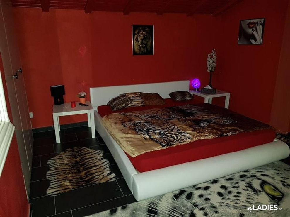 VILLA AMORE, das TOP-HAUS unter Schweizer Leitung sucht nette Girls / Bild 8