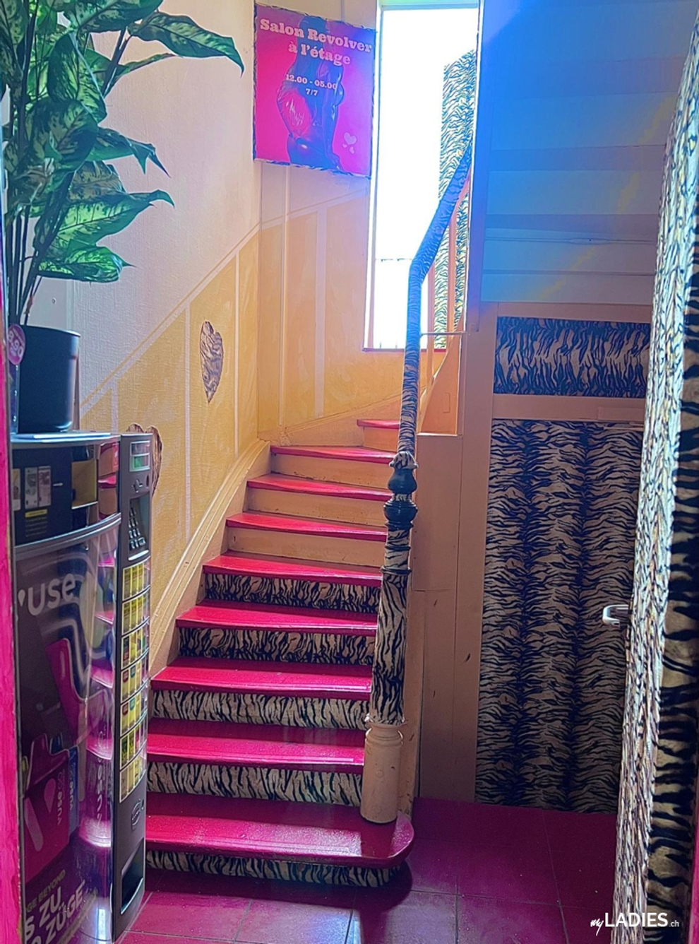 Night Club Revolver / Bild 3