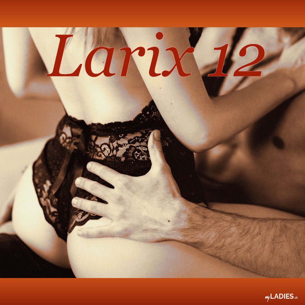 Larix 12 / Bild 14