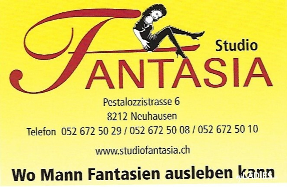 Studio Fantasia / Bild 6