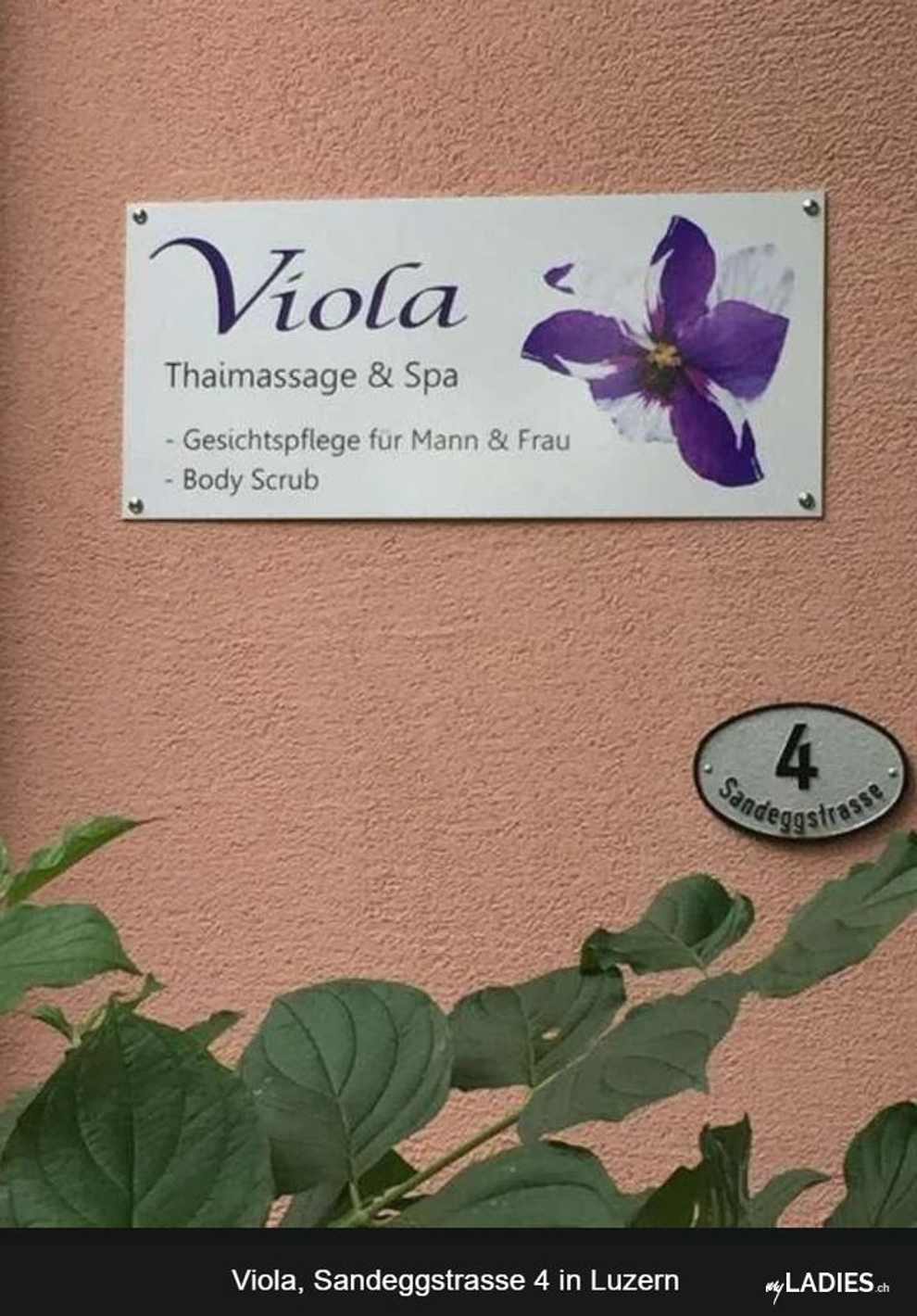 Viola Thai-Massage und SPA / Bild 5