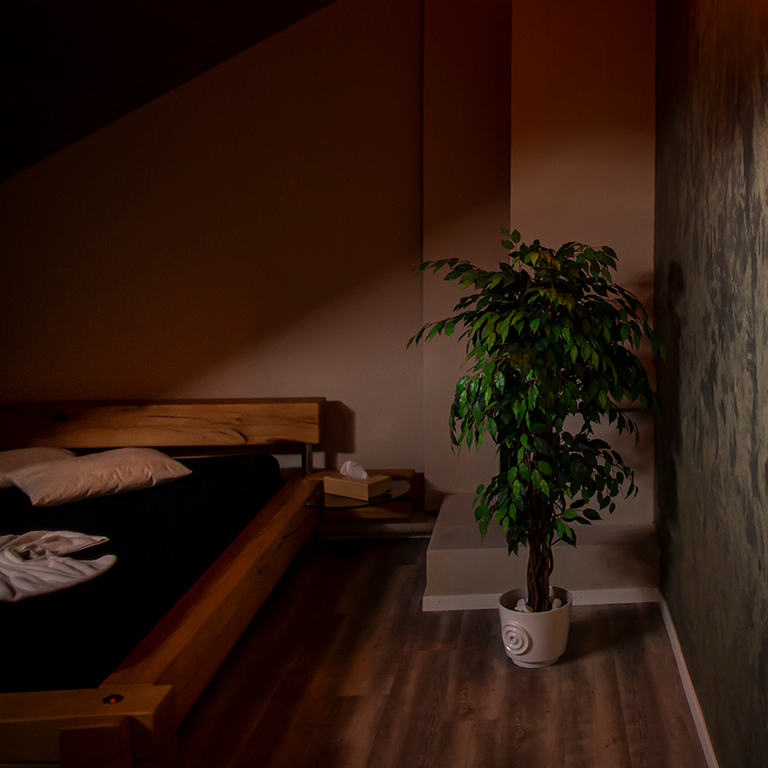 AegiLife — 5200 Brugg