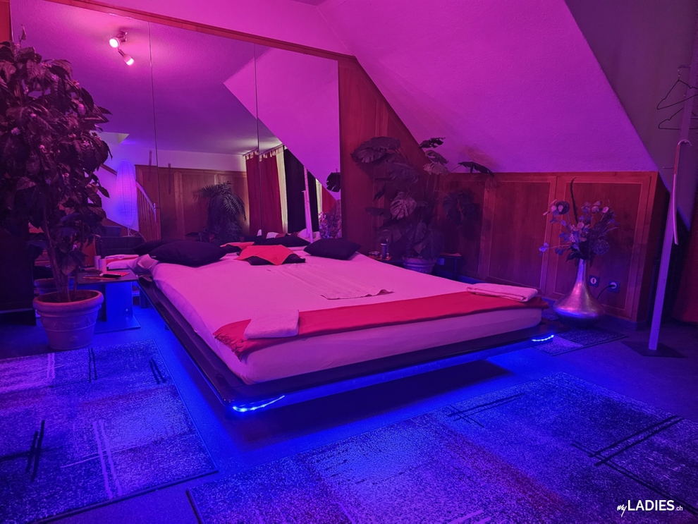 Girls kommt zu uns nach Zürich! Top Standort! Top Verdienst! / Bild 5