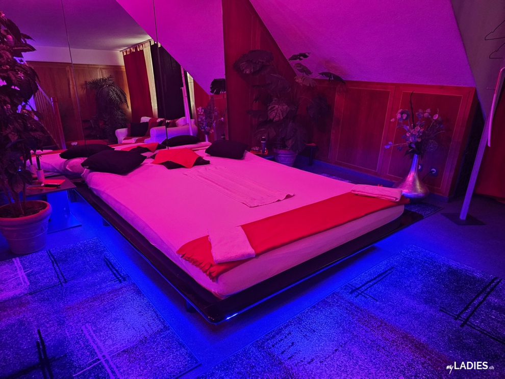 Studio Sunneschi / Bild 5