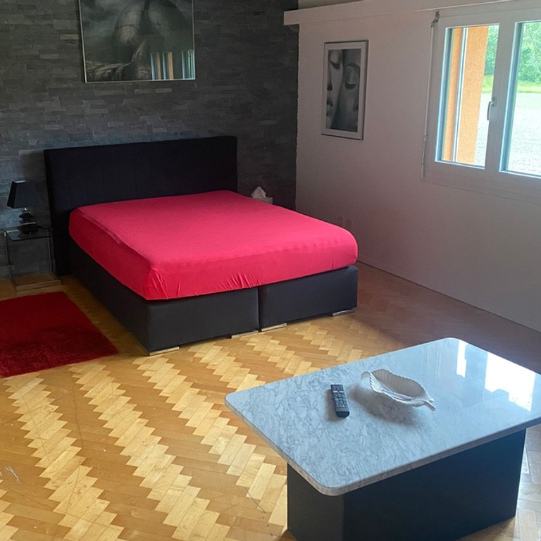 Willst Du viel Geld verdienen?