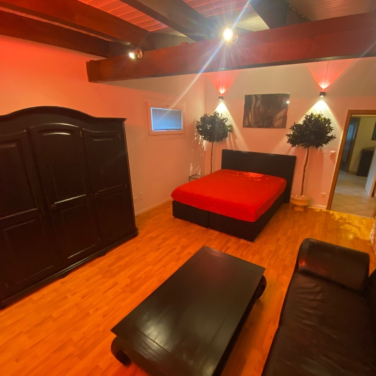 Willst Du viel Geld verdienen?