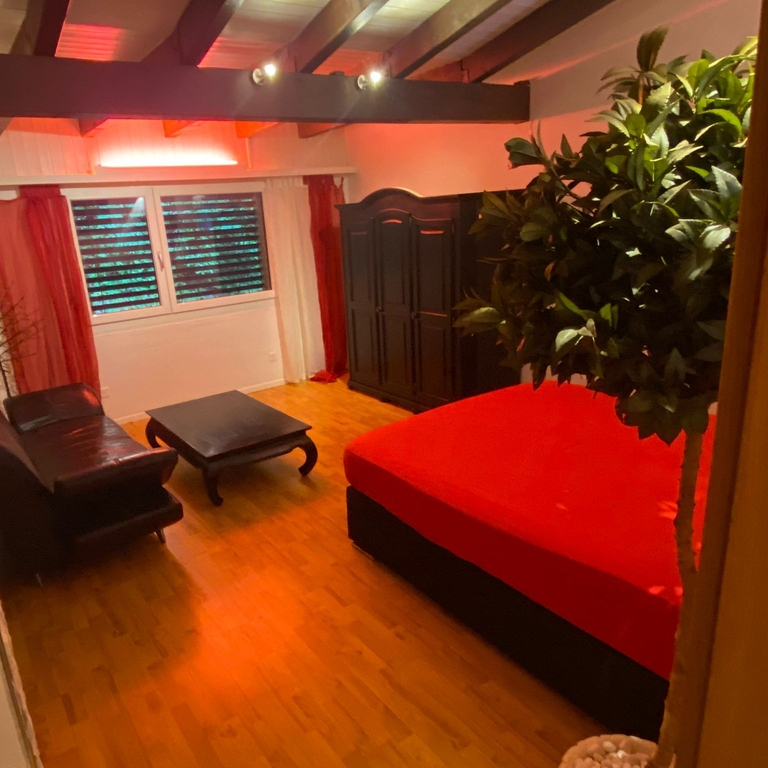 Willst Du viel Geld verdienen?