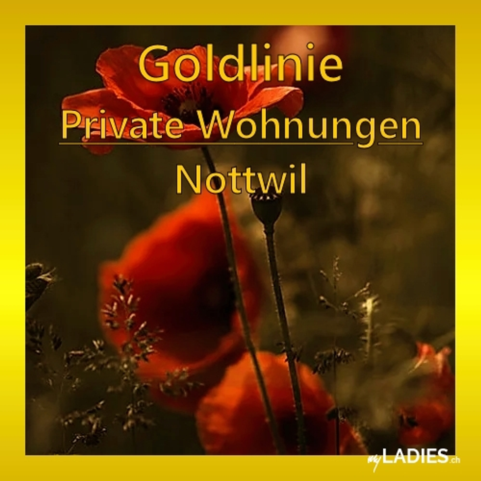 GOLDLINIE - Nottwil / Bild 7