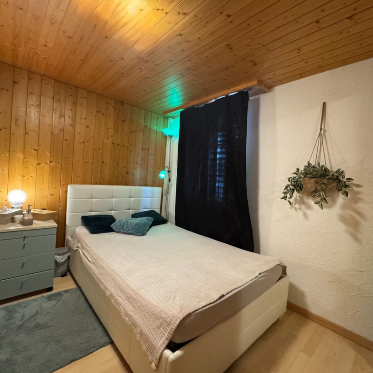 In kurzer Zeit viel Geld verdienen