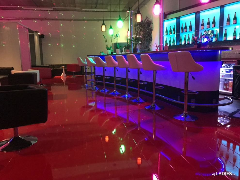 SWISS PARTY ☆♡ CH-Teenies (18) ⭐ ❤️ / Bild 3