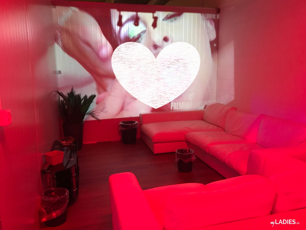 SWISS PARTY ☆♡ CH-Teenies (18) ⭐ ❤️ / Bild 4