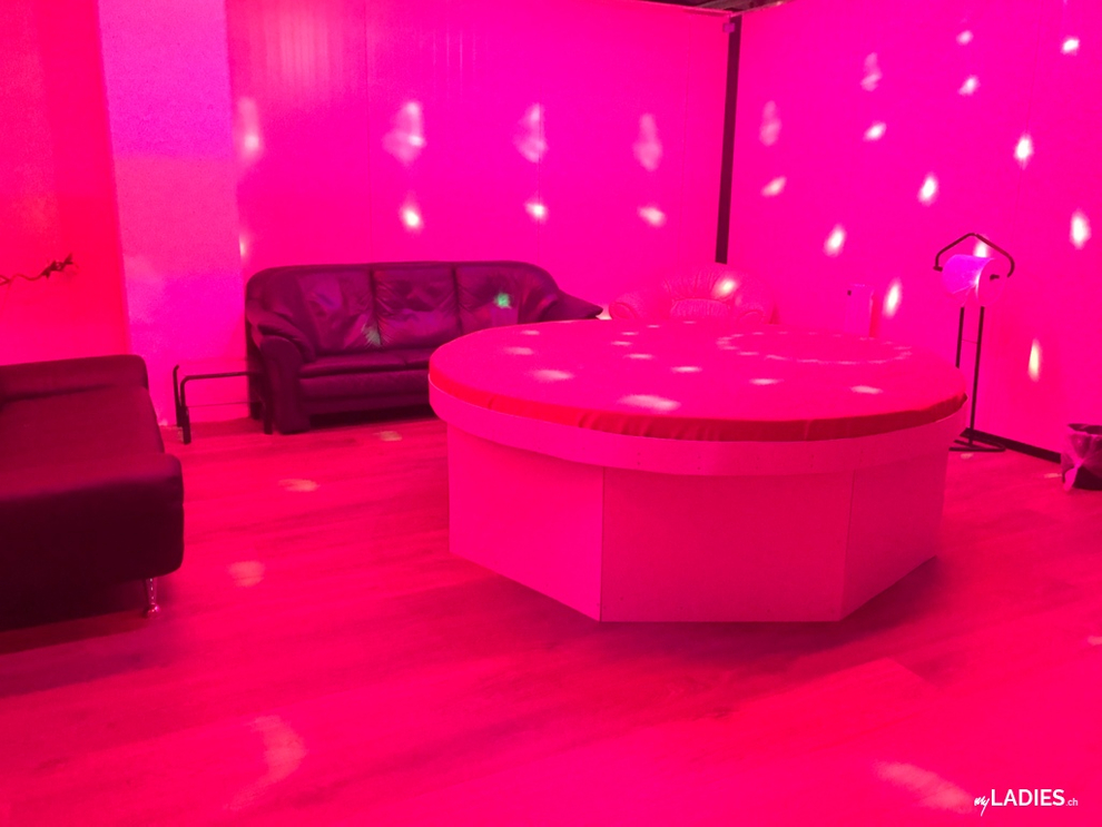 SWISS PARTY ☆♡ CH-Teenies (18) ⭐ ❤️ / Bild 5