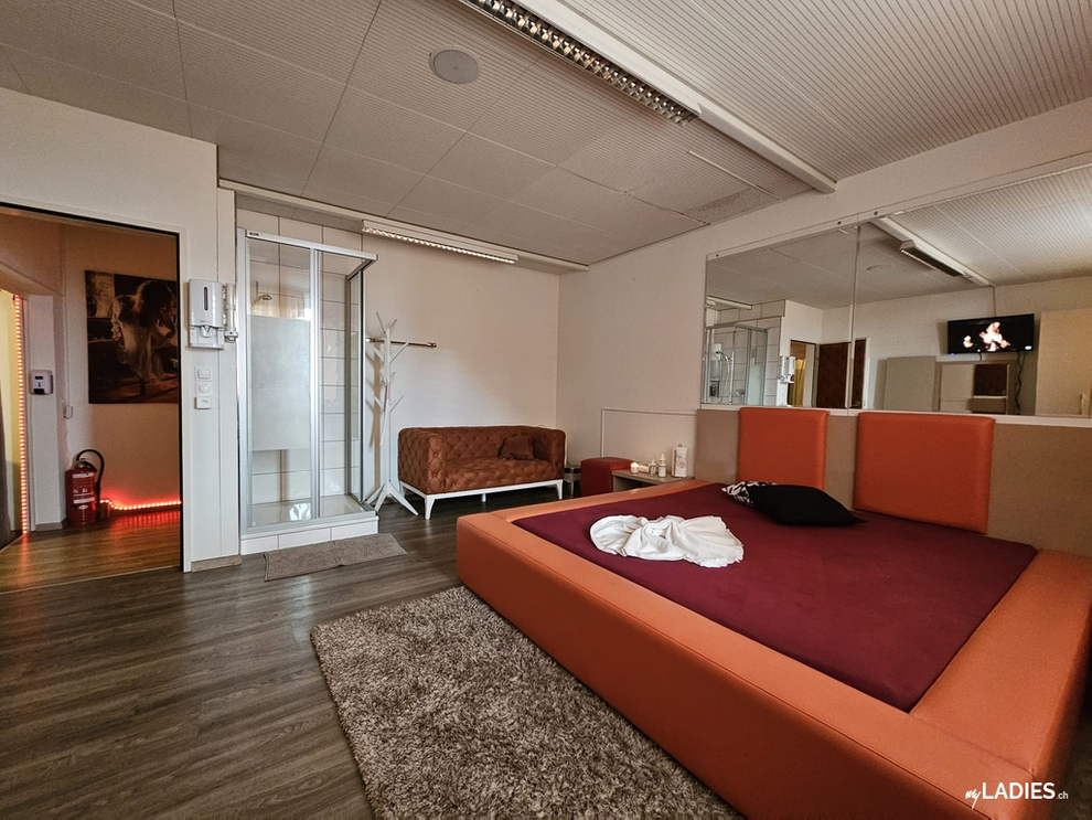 Viel Geld verdienen! / Bild 8