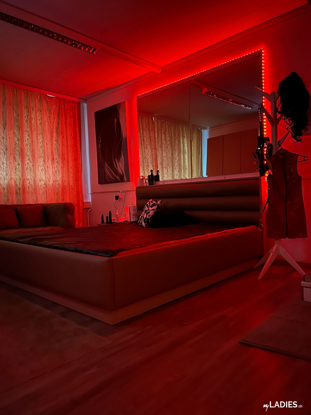 Viel Geld verdienen! / Bild 3