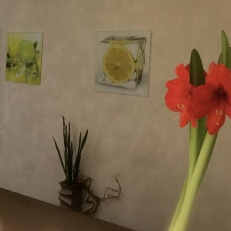 RELAX - Massagen, Sauna, Spa — 4055 Basel