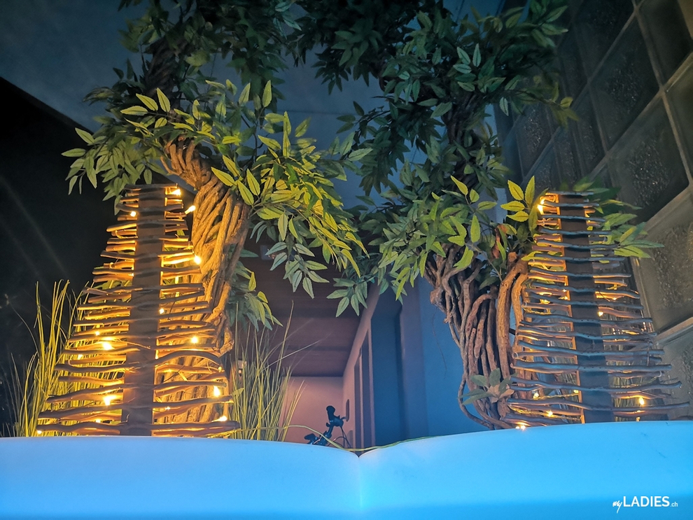 Erotik Club Interlaken / Bild 9