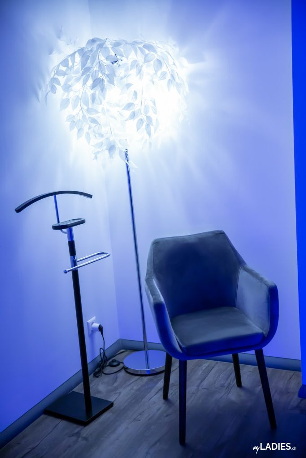 Joy House Waltenschwil / Bild 7