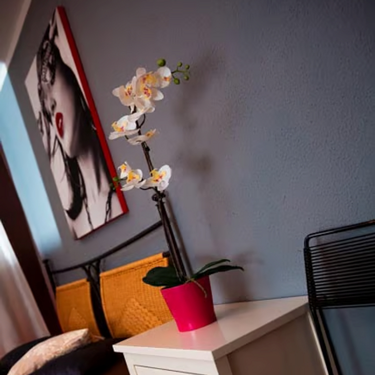 Joy House Rothrist — 4852 Rothrist