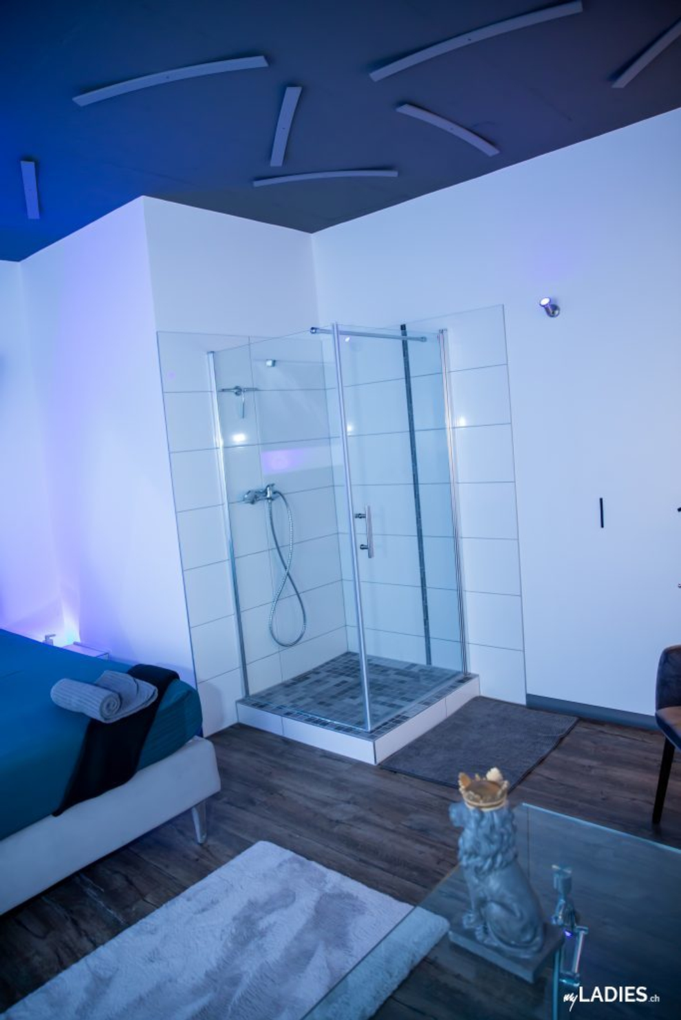 Schöne Bordell sucht neue Girls mit fairem %-System / Bild 13