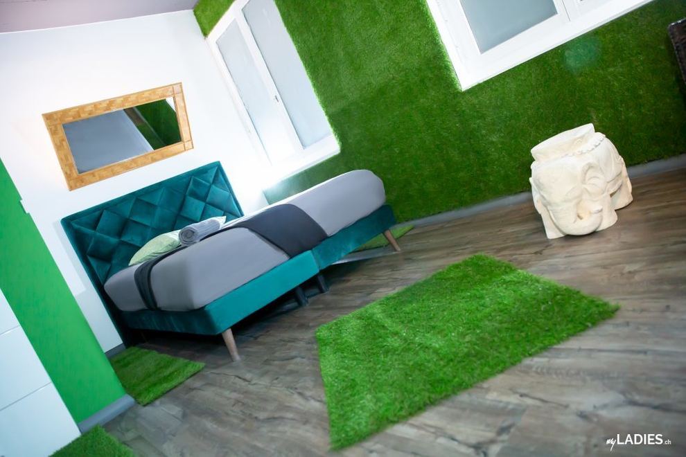 Schöne Bordell sucht neue Girls mit fairem %-System / Bild 19