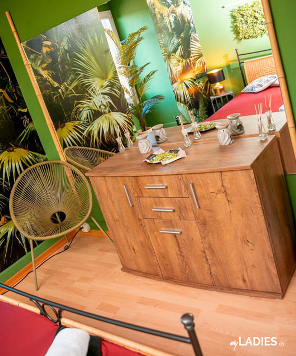 Schöne Bordell sucht neue Girls mit fairem %-System / Bild 9