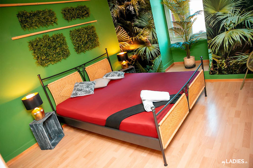 Schöne Bordell sucht neue Girls mit fairem %-System / Bild 10