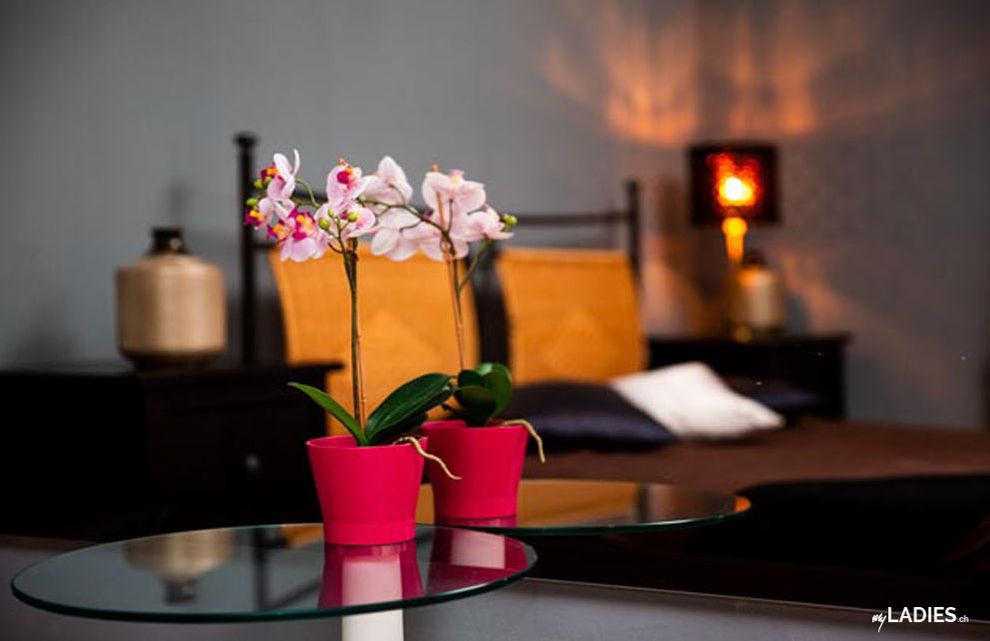 Schöne Bordell sucht neue Girls mit fairem %-System / Bild 1