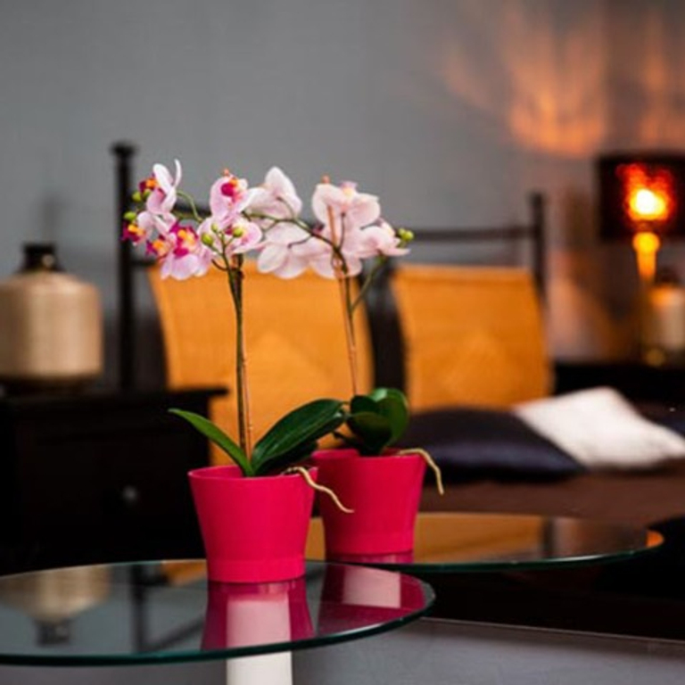 Schöne Bordell sucht neue Girls mit fairem %-System