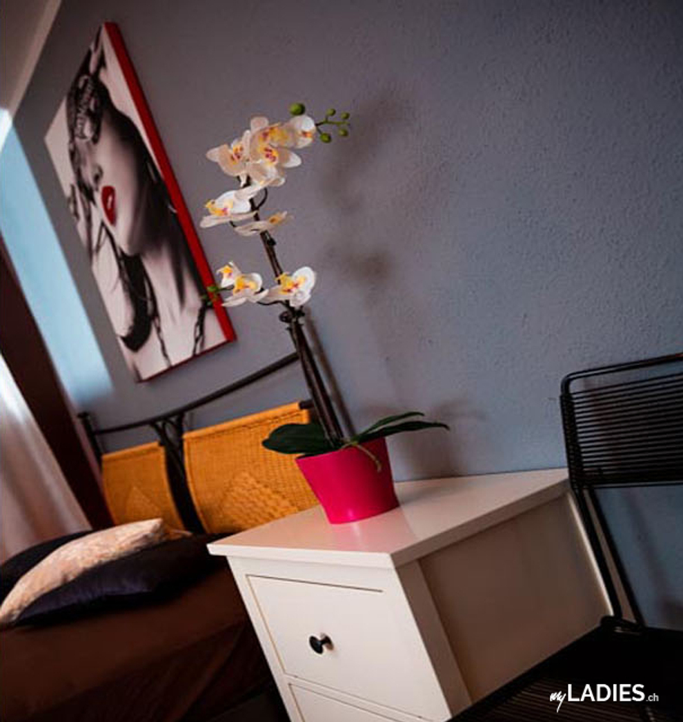 Schöne Bordell sucht neue Girls mit fairem %-System / Bild 5