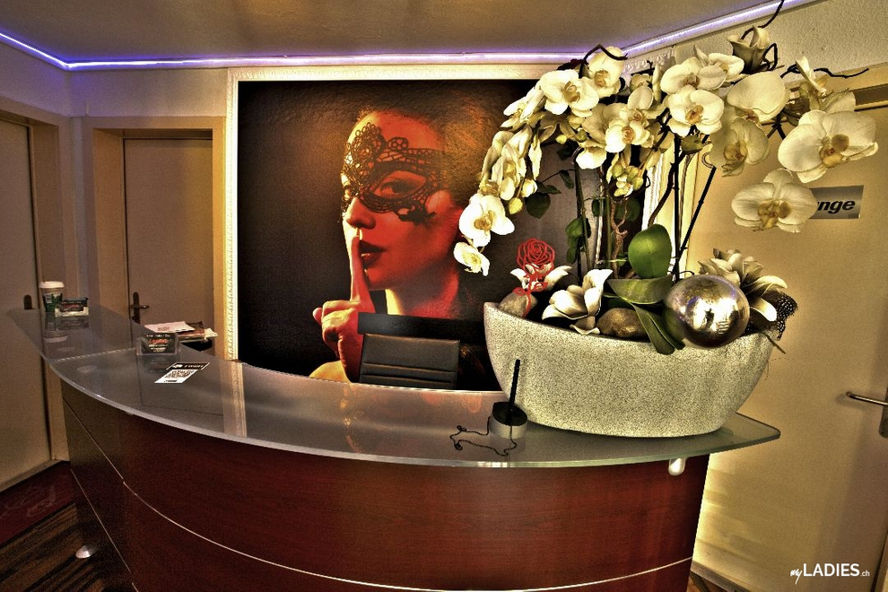 Club Leguan / Bild 7