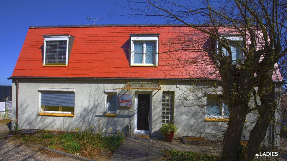 Club Leguan / Bild 13