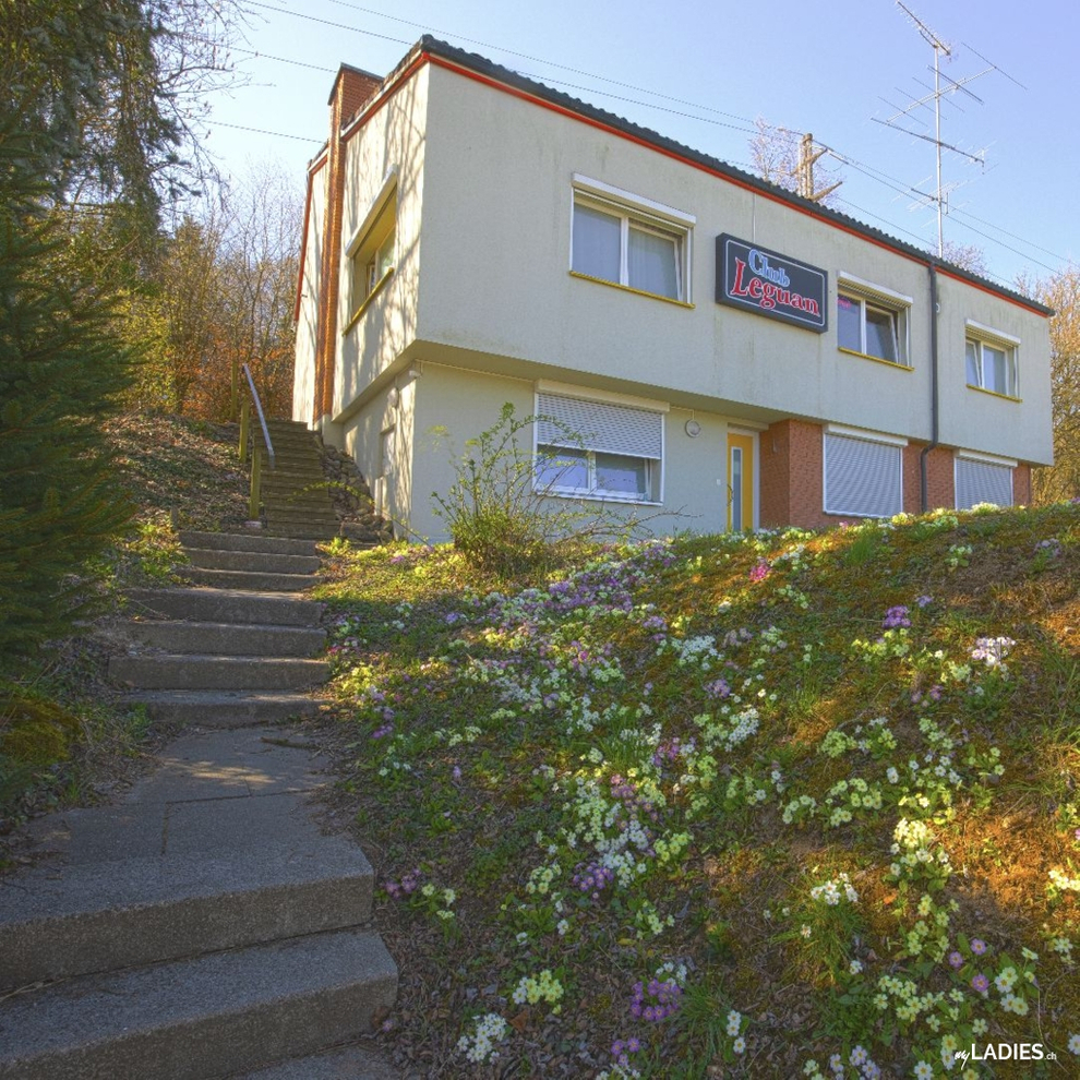 Club Leguan / Bild 12