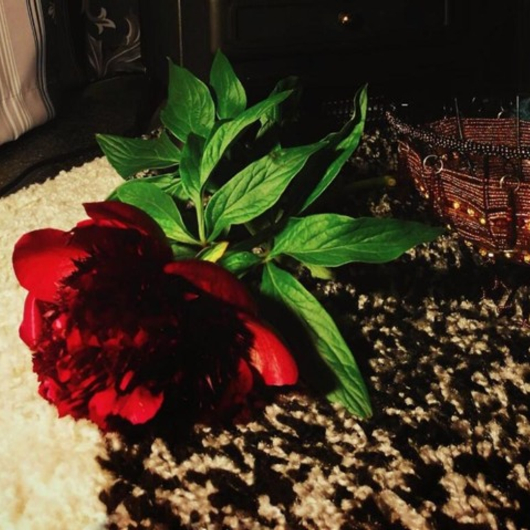 ZÜRICH TANTRA — 8305 Dietlikon