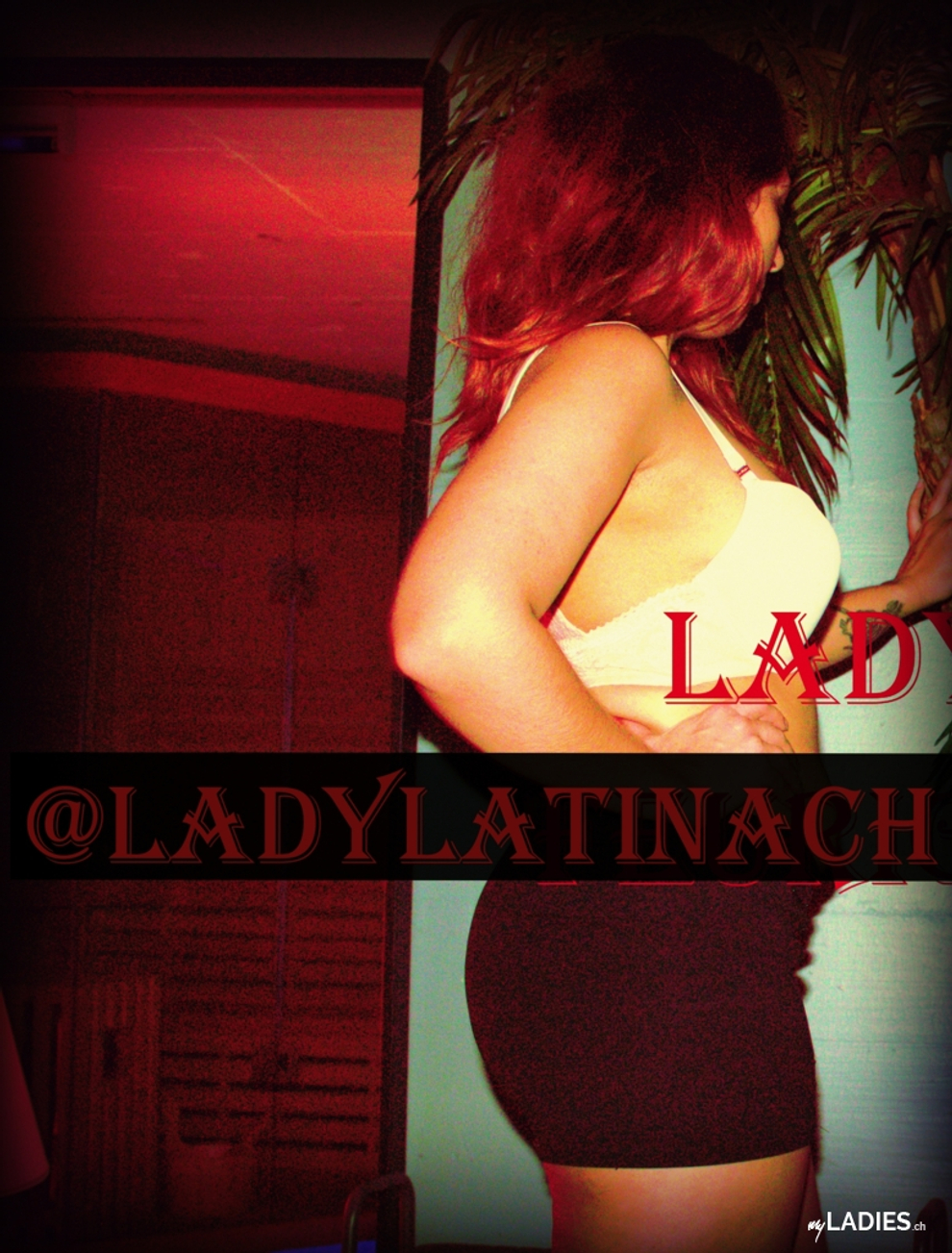Lady Latina / Bild 4