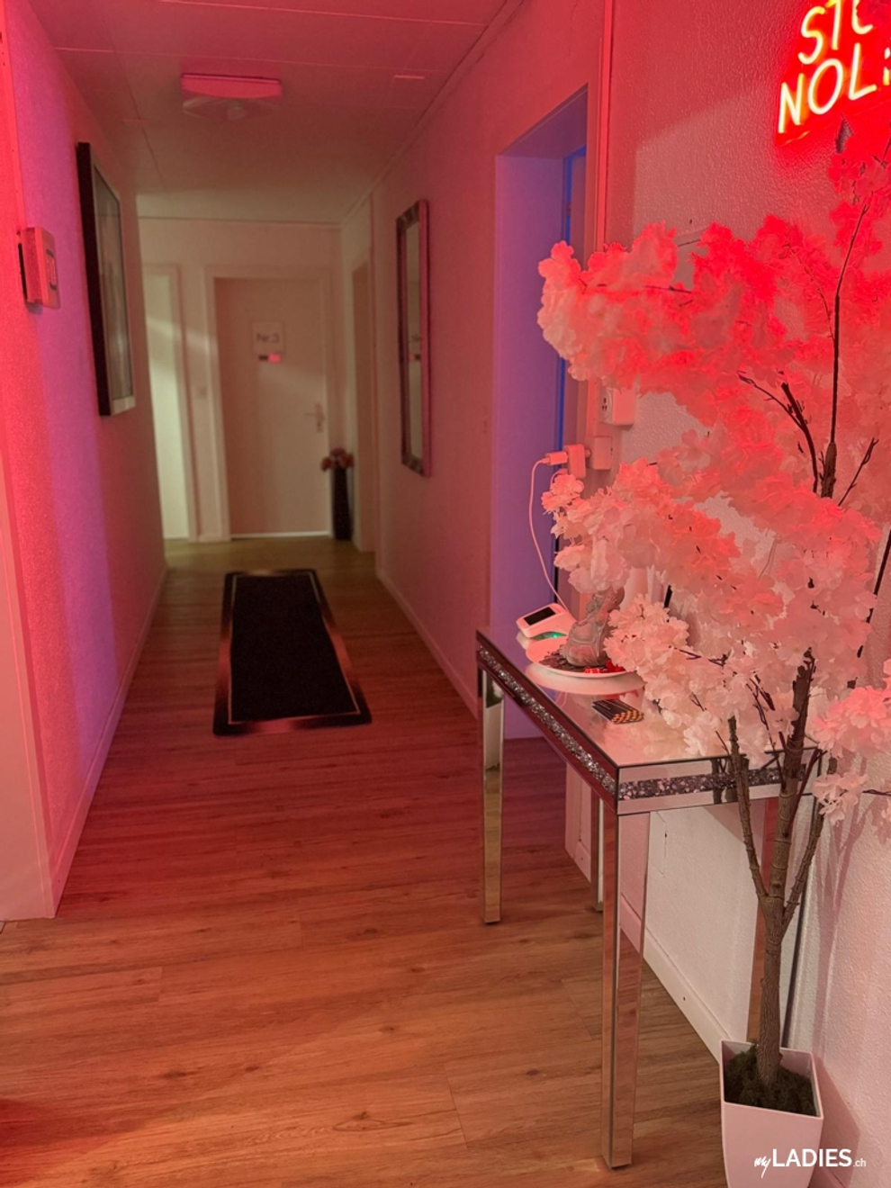 Studio No Limit / Bild 2