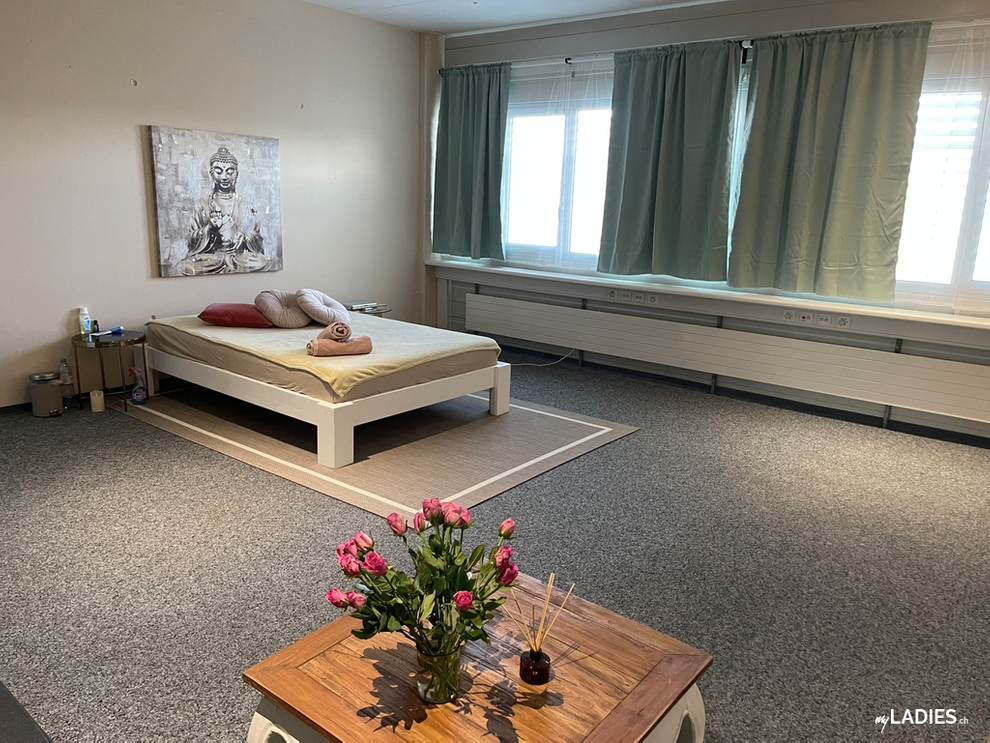 ❤️❤️❤️Zu vermieten in der ganzen Schweiz!!❤️❤️❤️ / Bild 22